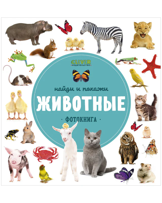 Найди и покажи. Фотокниги. Животные - Image 16
