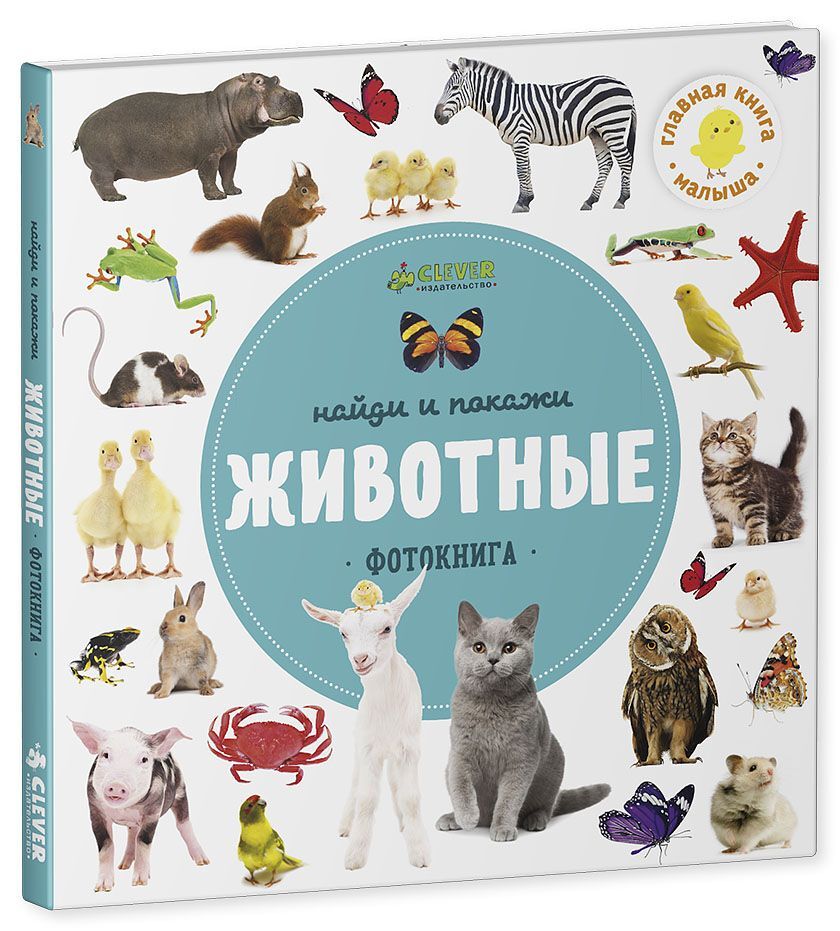 Найди и покажи. Фотокниги. Животные - Image 17