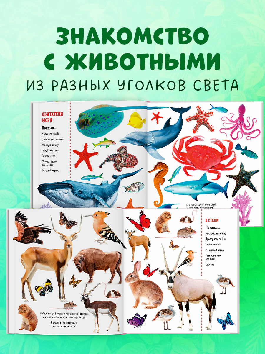 Найди и покажи. Фотокниги. Животные - Image 4
