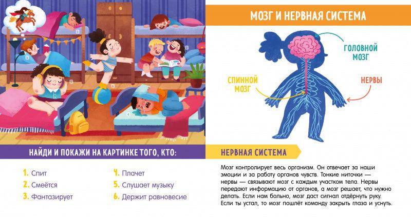 Найди и покажи, малыш. Моё тело - Image 4