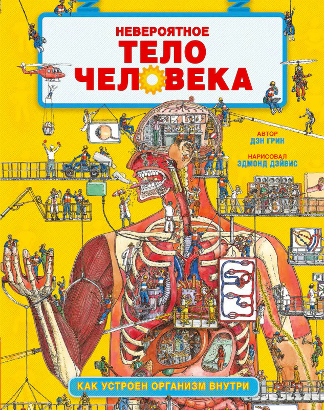 Невероятное тело человека. Как устроен организм внутри - Image 14