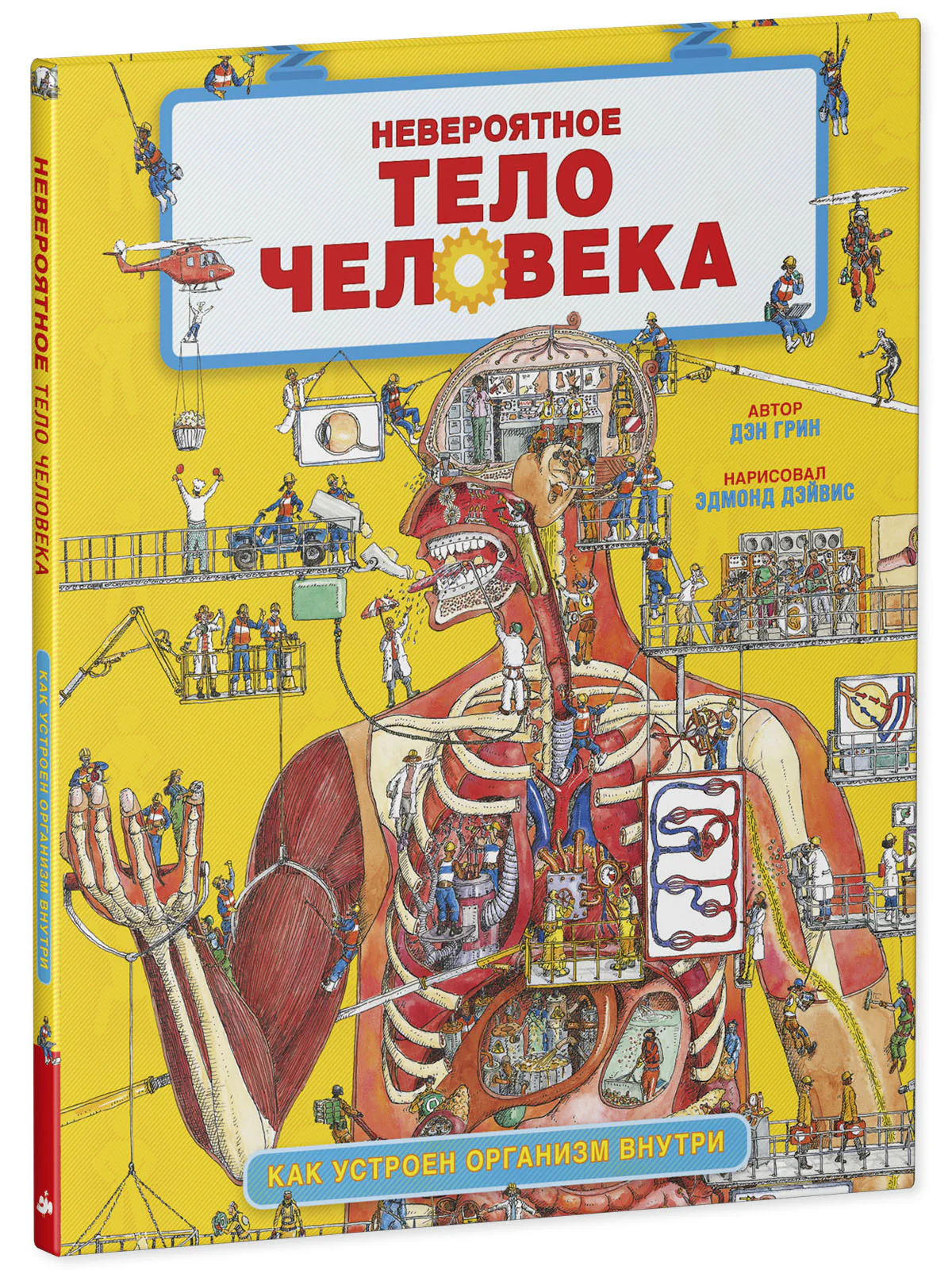 Невероятное тело человека. Как устроен организм внутри - Image 15