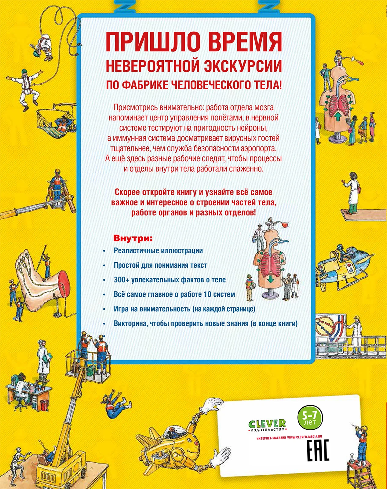 Невероятное тело человека. Как устроен организм внутри - Image 16