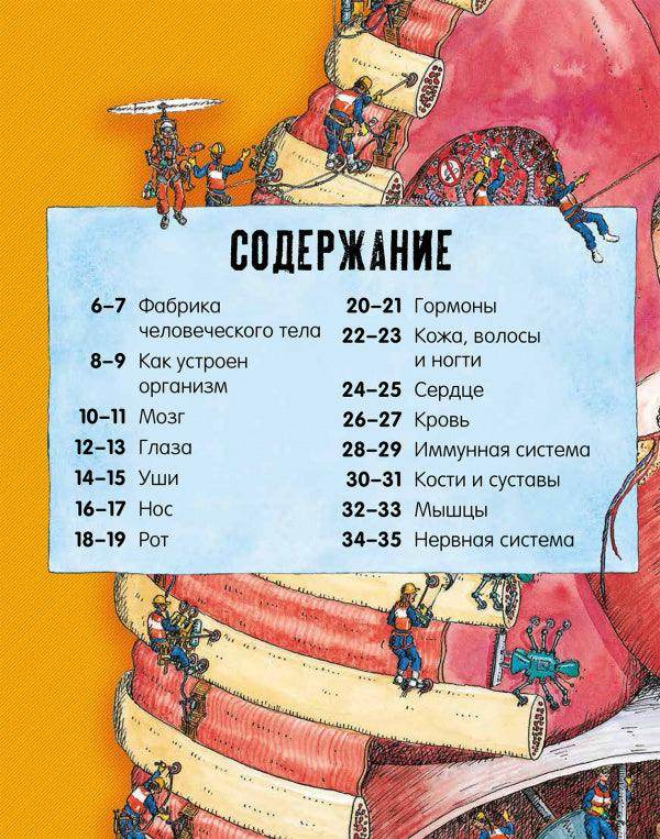 Невероятное тело человека. Как устроен организм внутри - Image 5