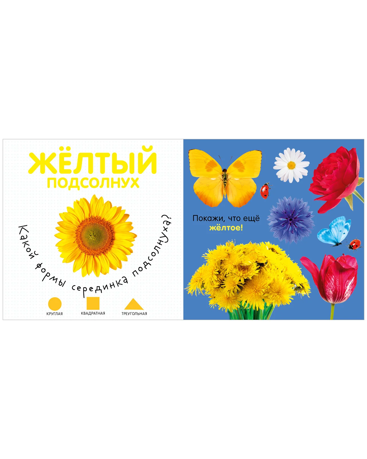 Первая фотокнига малыша. Цвета - Image 12
