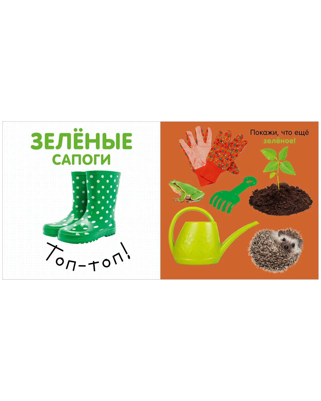 Первая фотокнига малыша. Цвета - Image 13