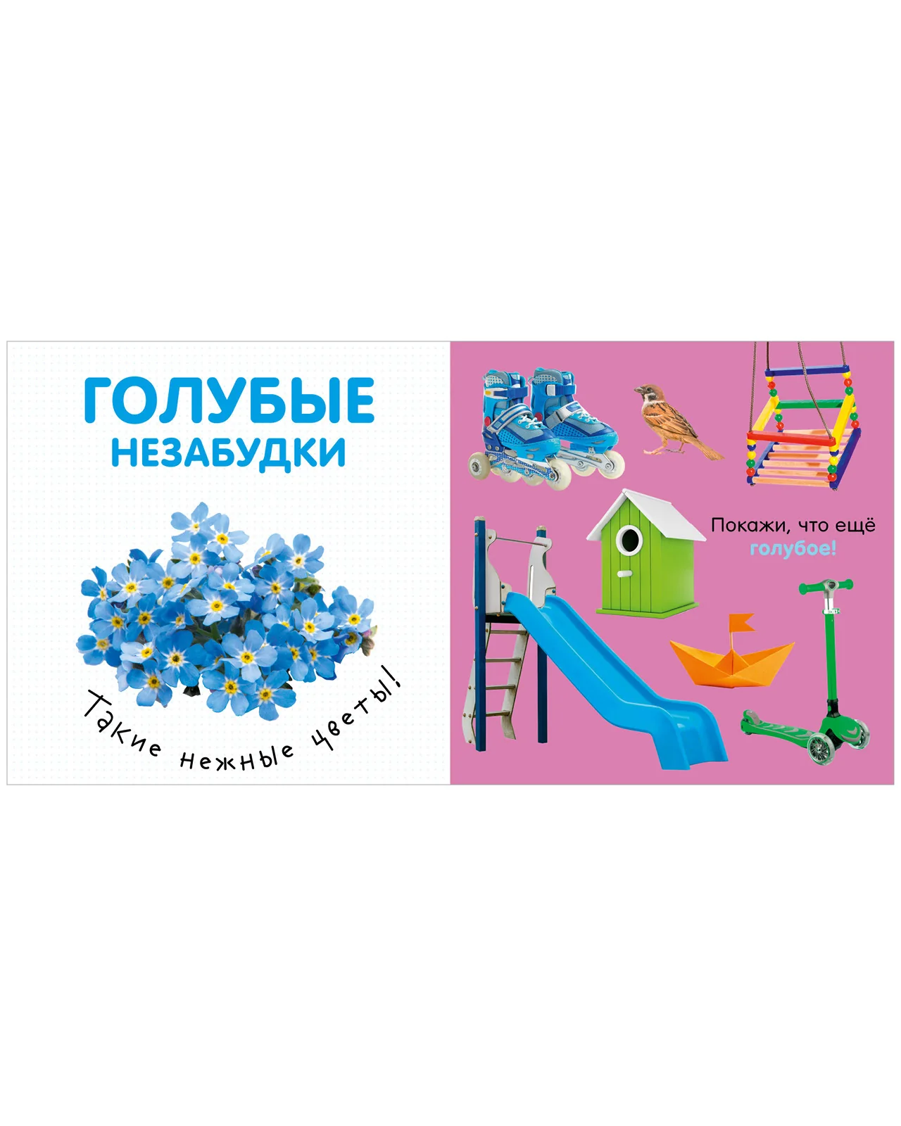 Первая фотокнига малыша. Цвета - Image 14