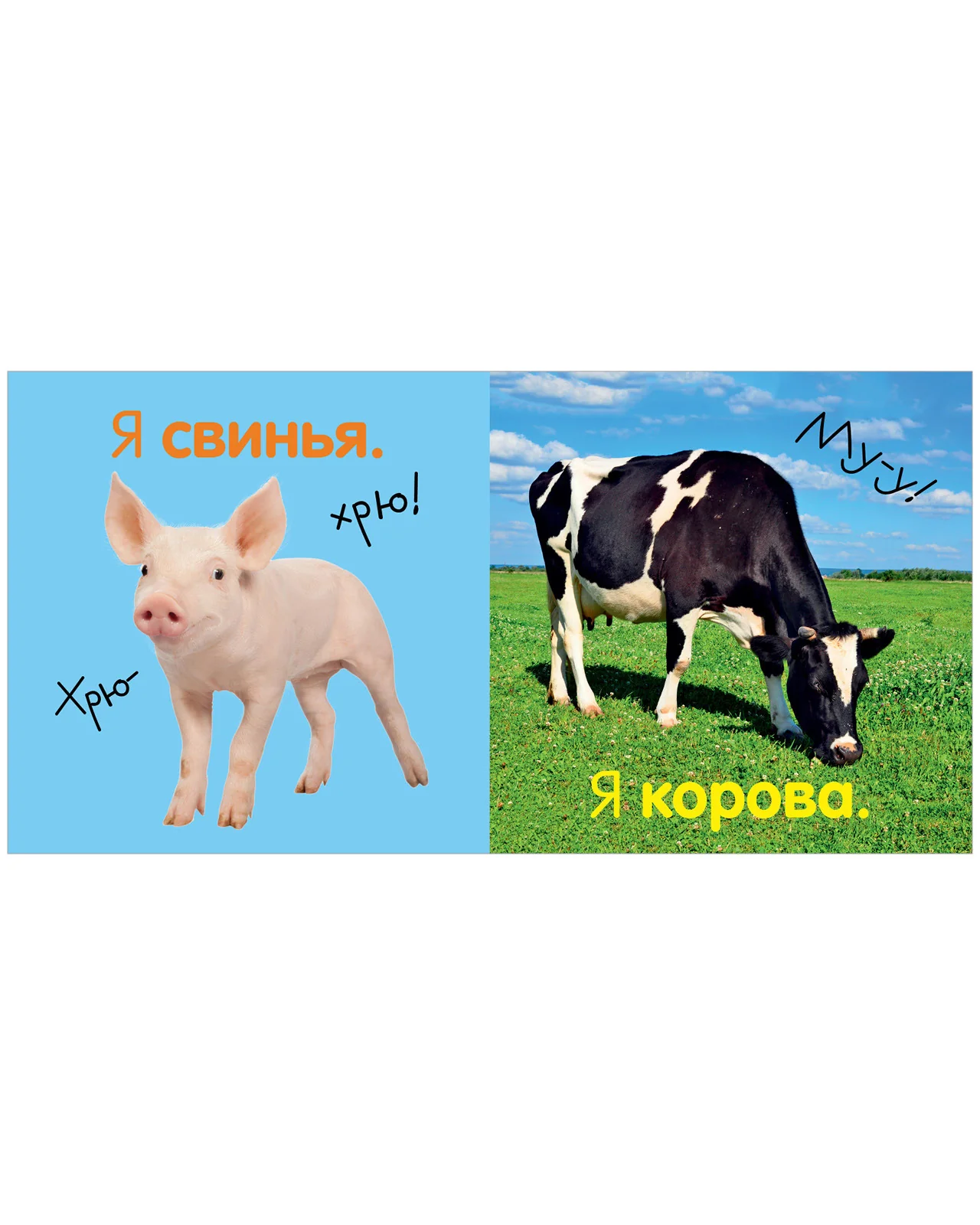 Первая фотокнига малыша. Животные - Image 12