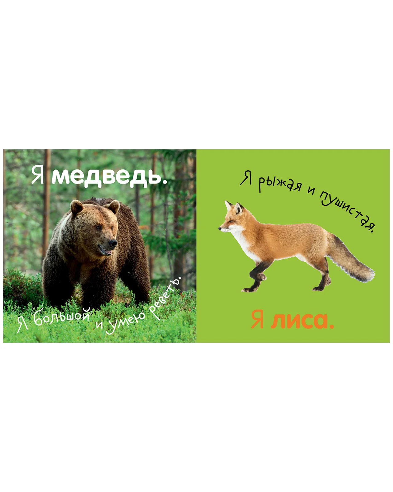 Первая фотокнига малыша. Животные - Image 13