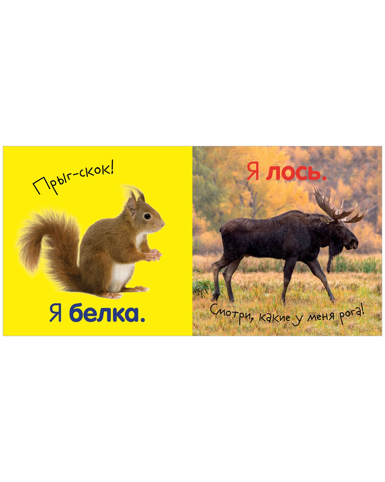 Первая фотокнига малыша. Животные - Image 14