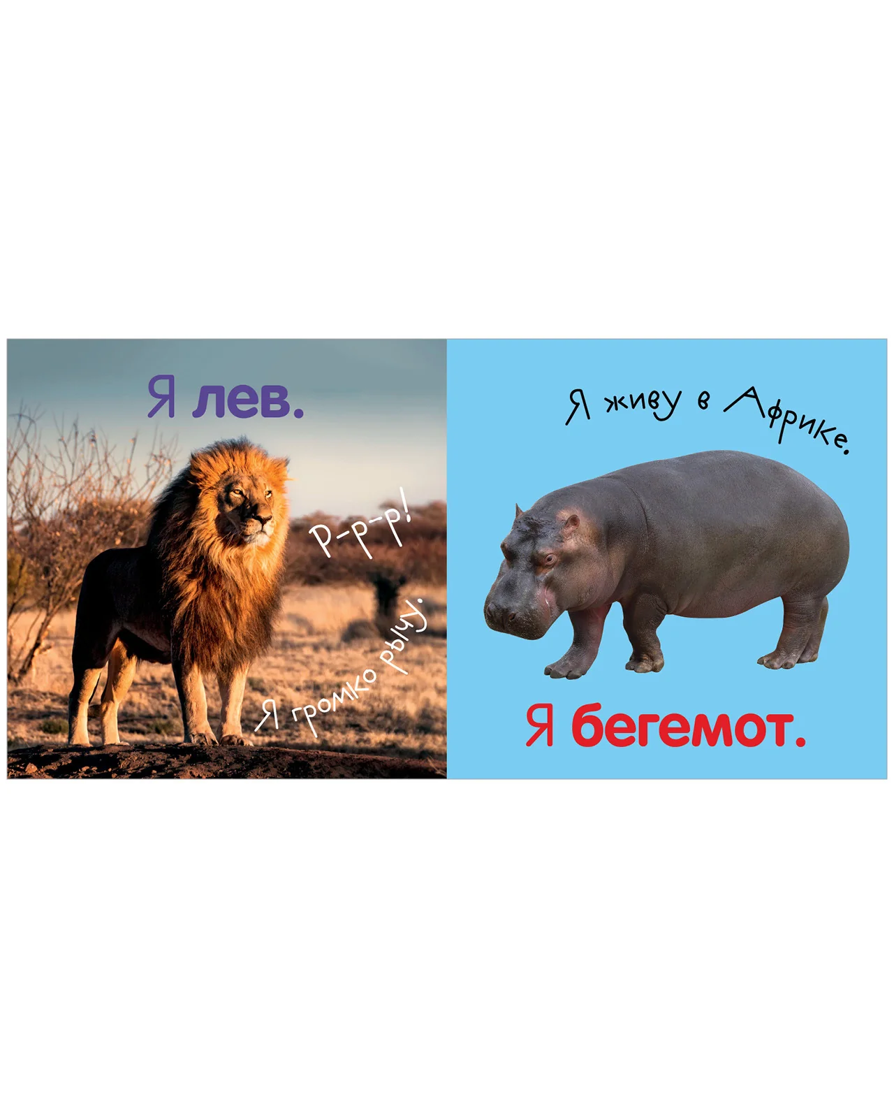Первая фотокнига малыша. Животные - Image 23