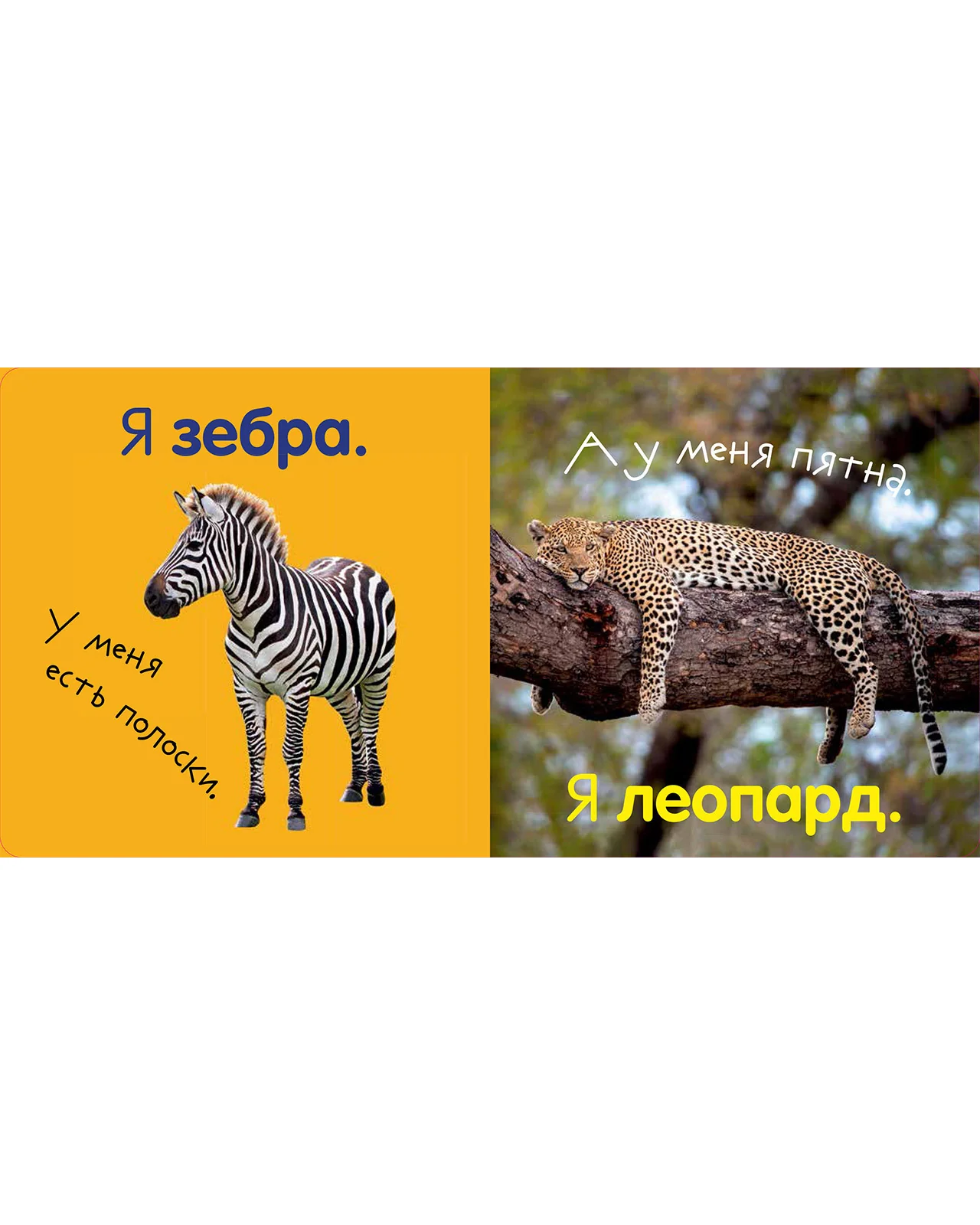 Первая фотокнига малыша. Животные - Image 24