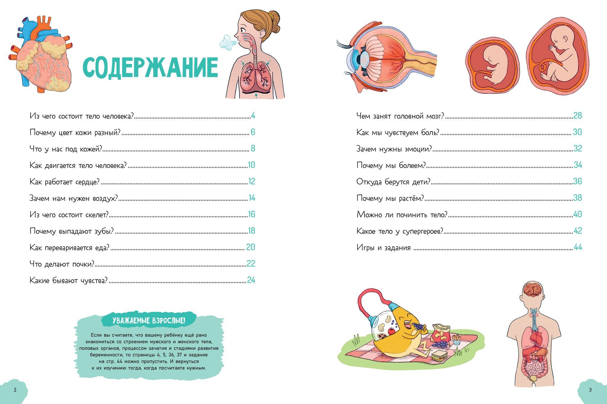Удивительные энциклопедии. Невероятное тело человека - Image 3