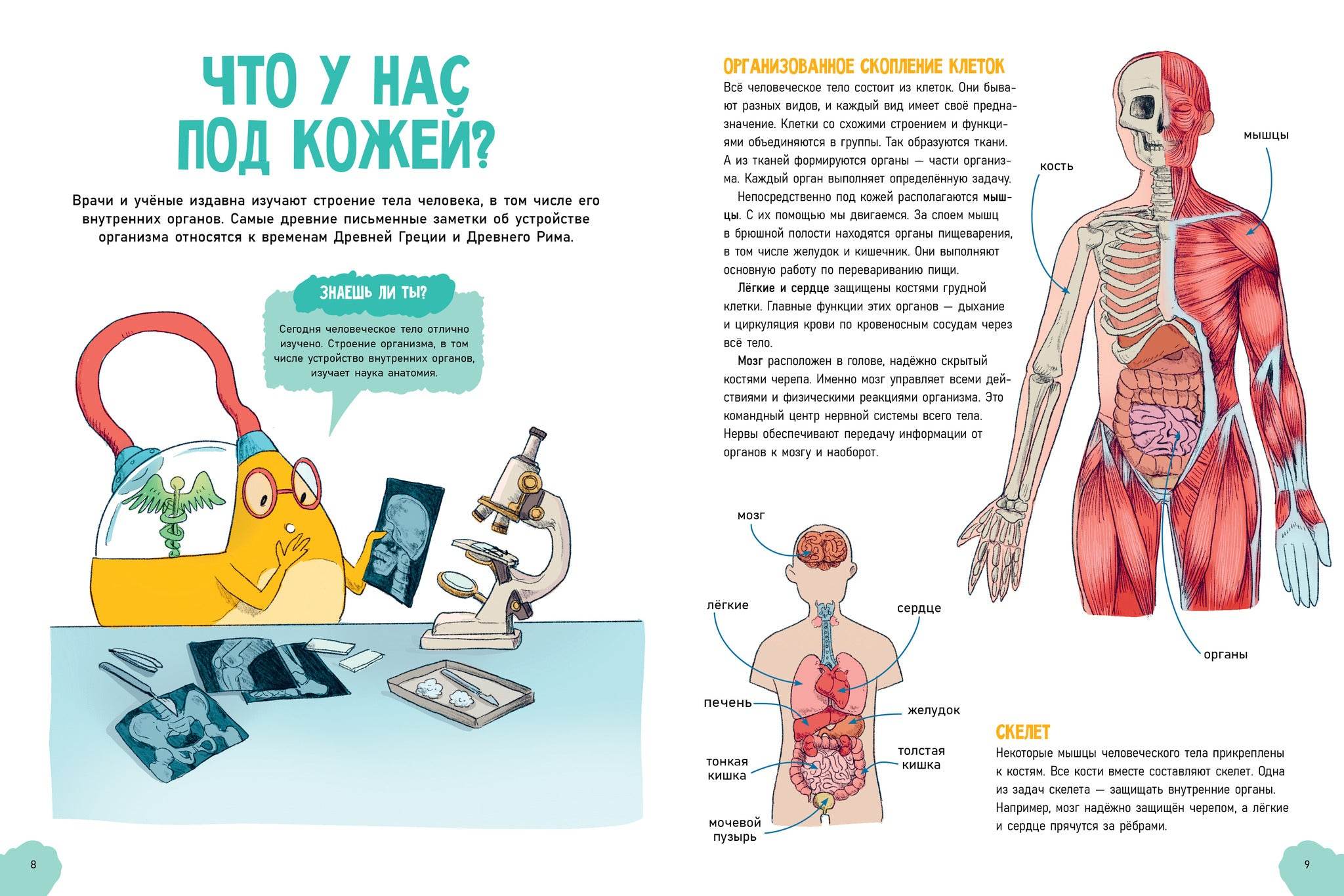 Удивительные энциклопедии. Невероятное тело человека - Image 4
