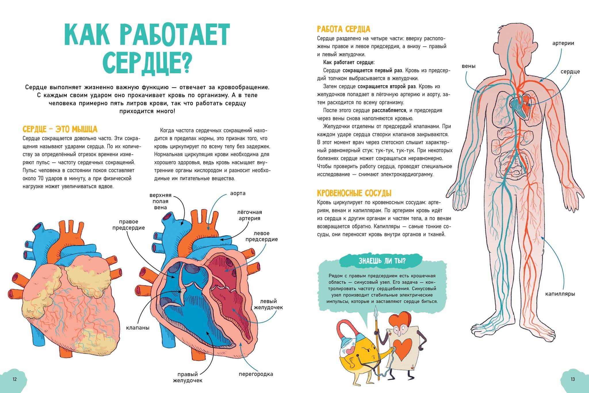 Удивительные энциклопедии. Невероятное тело человека - Image 5