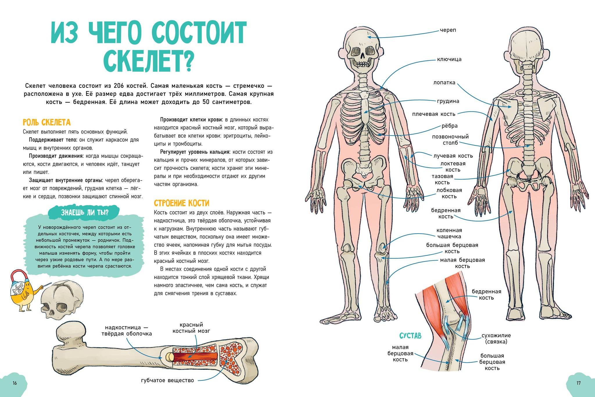 Удивительные энциклопедии. Невероятное тело человека - Image 6