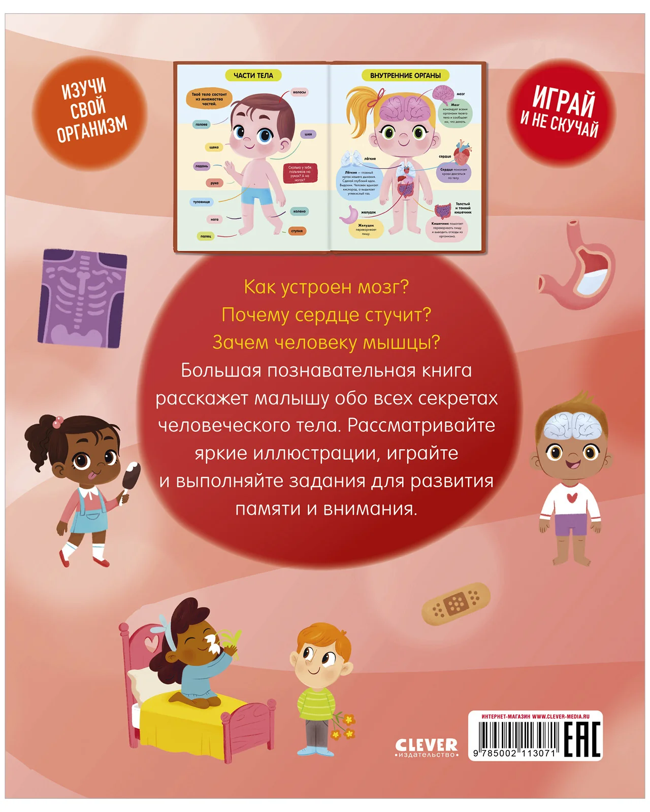 Удивительные энциклопедии. Тело человека - Image 15