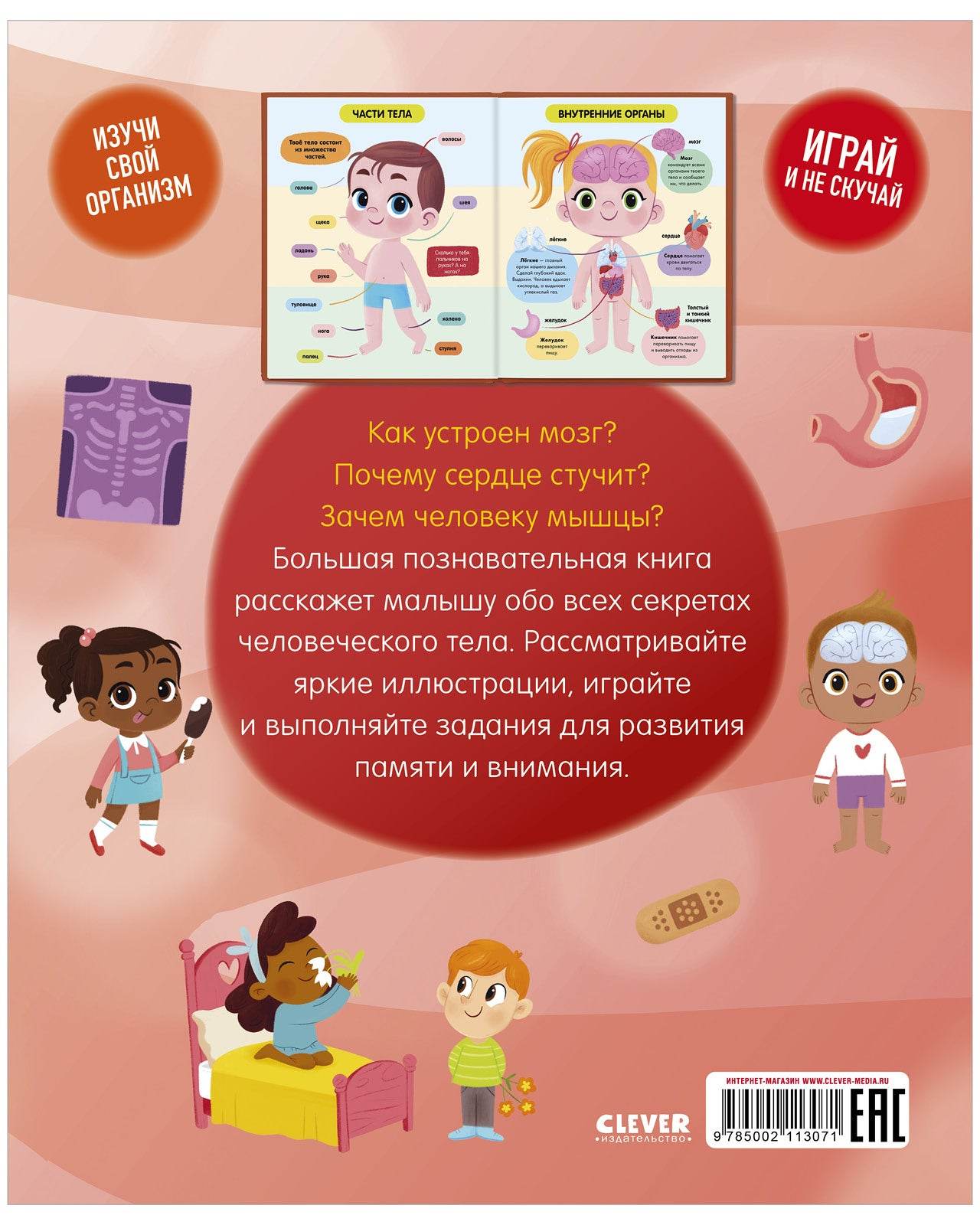 Удивительные энциклопедии. Тело человека - Image 7