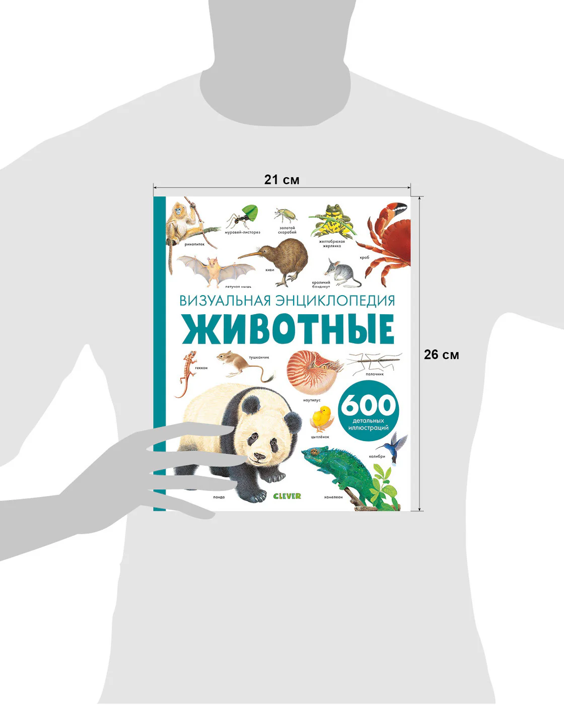 Животные. Визуальная энциклопедия - Image 16