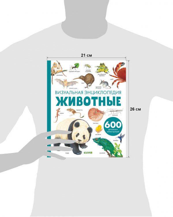 Животные. Визуальная энциклопедия - Image 8